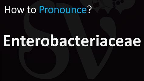 enterobacteriaceae pronunciation|enterobacteriales pronunciation.